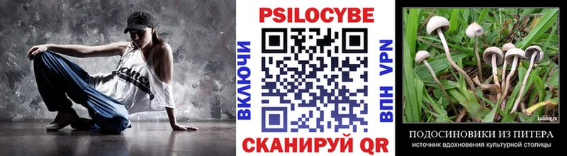 Галлюциногенные грибы Cubensis Калининград